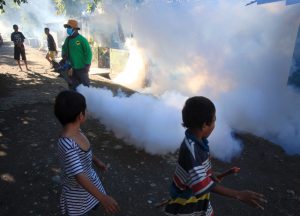 SSMD planea estabelese komisaun prevensaun dengue