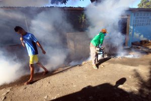 SAMES Prepara Ona Konkursu Públiku  Sosa Ai-Moruk Prevensaun Dengue