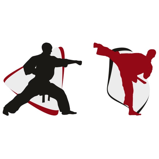 Karate-do re-ativa treinamentu
