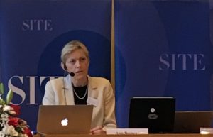 Marina Berg: “Atinje ODS 16 Presiza Iha Kondisaun Demokrasia Ida Di´ak”