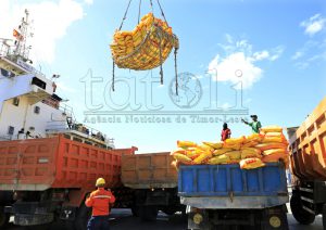 CLN sei sosa foos importasaun tonelada 5.000 resin hosi Vietname