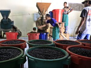 PIB la’ós petrolíferu tinan 2021 sa’e ba 1,5%