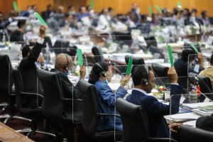PN aprova votu pezar ba saudozu “Sesurai” no ”Domin”
