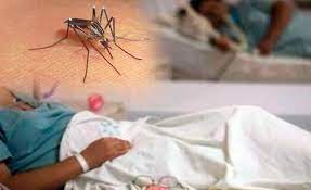 Sentru Saúde Viqueque rejista dengue 31 iha abril