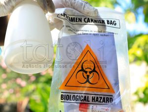 COVID-19, na’in-tolu rekuperadu no kazu foun 19