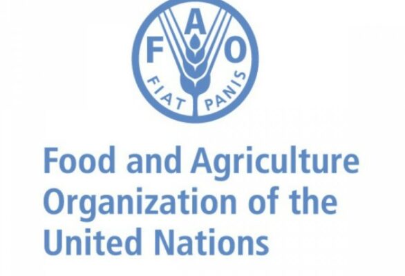 FAO fó treinamentu konservasaun agrikultura ba estensionista suku