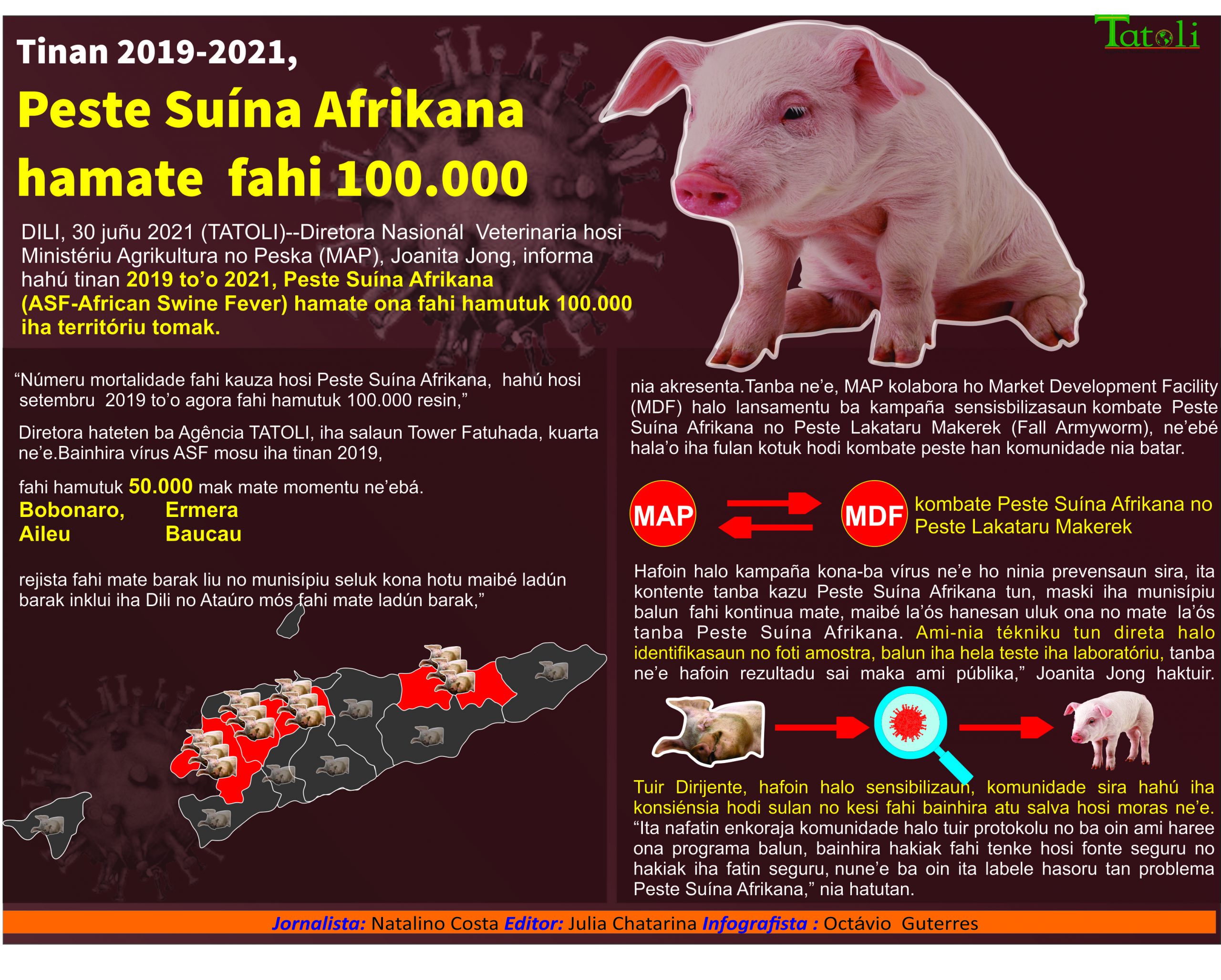 Infografia: Peste Suína Afrikana