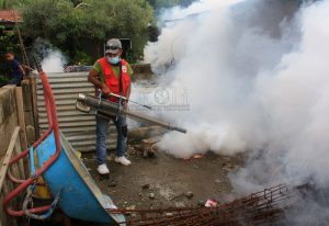 Prevene dengue, ekipa saúde munisípiu Dili kontinua halo fumigasaun iha área risku