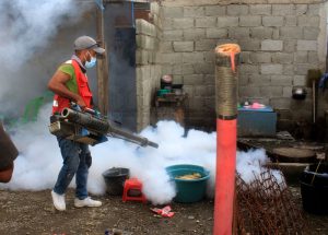 Kombate dengue: Servisu Saúde Dili fumiga uma kain 4.917