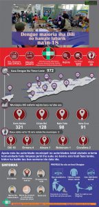 Infografia: Dengue maioria iha Dili no hamate labarik na’in-18