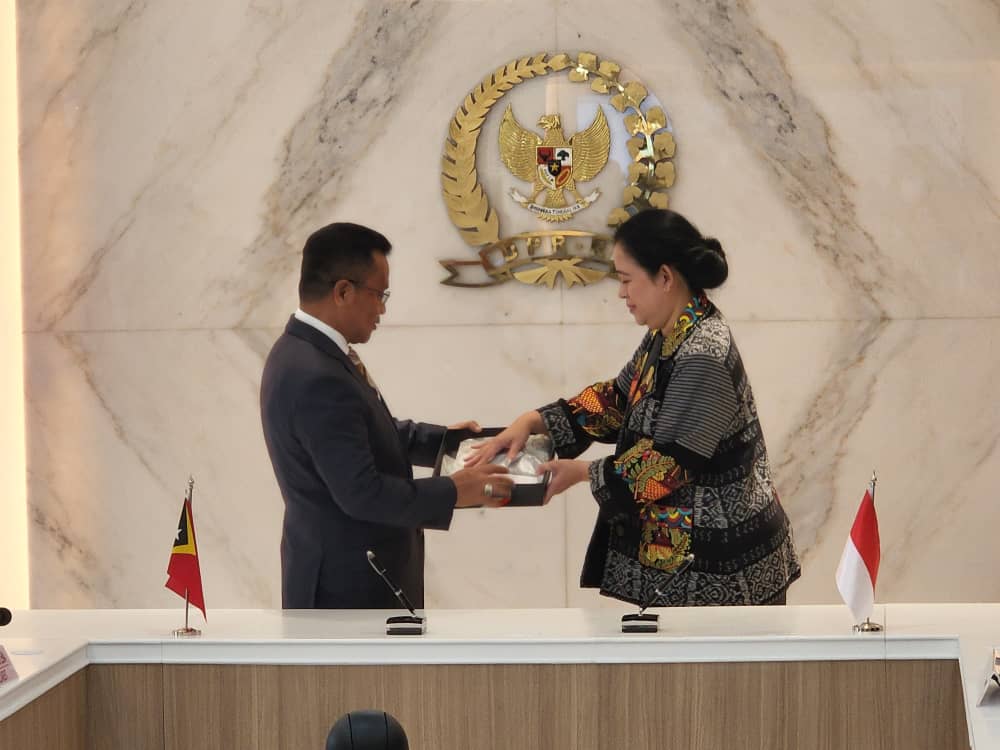 PN Timor-Leste vizita PN Indonézia atu hametin relasaun bilaterál