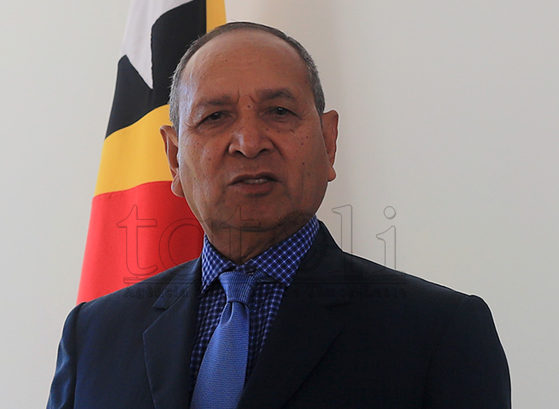 Empreza Timor Resources sujere Governu autoriza harii fábrika mina iha Timor-Leste