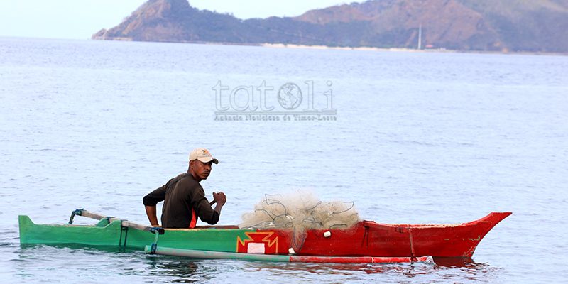 FOTO ATUÁL: Atividade balun husi peskadór iha Dili