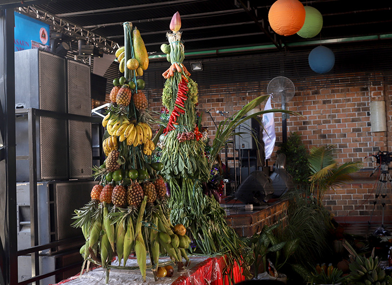 Dosente UNTL husu Governu Dasiak tenke investe iha kooperativa