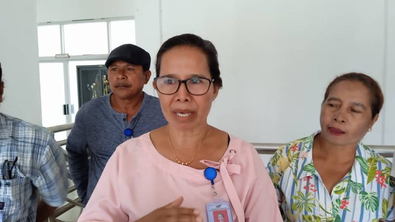 CCI husu Autoridade Bobonaro regula Xinés sira loke negósiu kiik