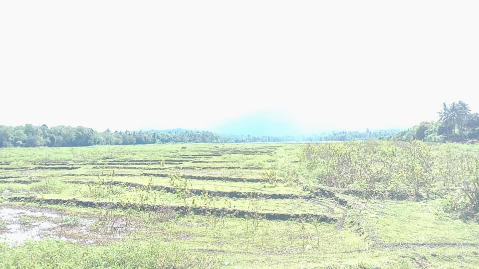 Autoridade Uatulari husu MAP hadi’a irrigasaun a’at