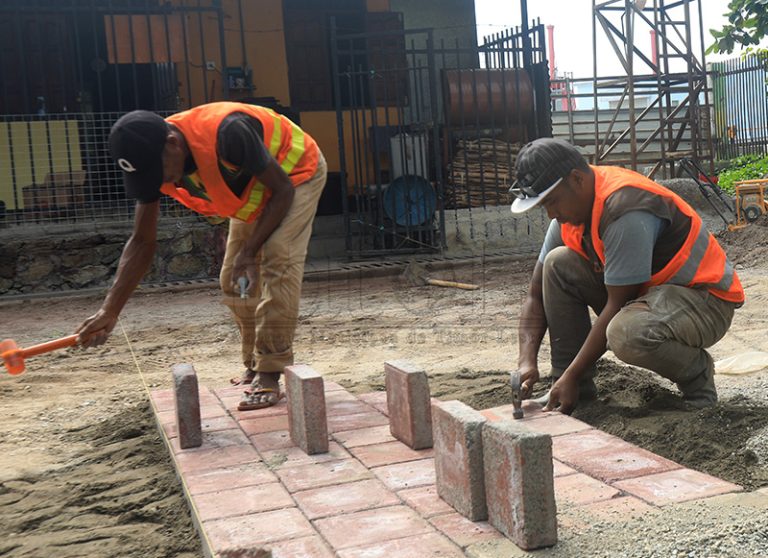 Reabilitasaun Jardin