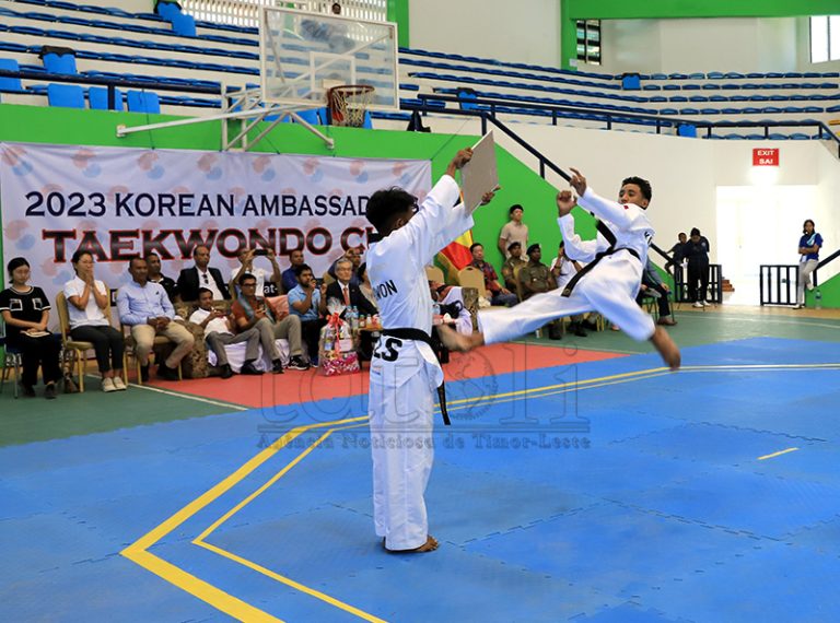 Taekwondo