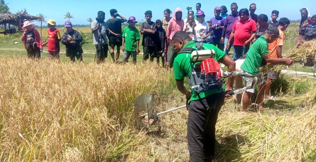 MAP Viqueque introdus makina ko’a hare ba agrikultór Uatulari