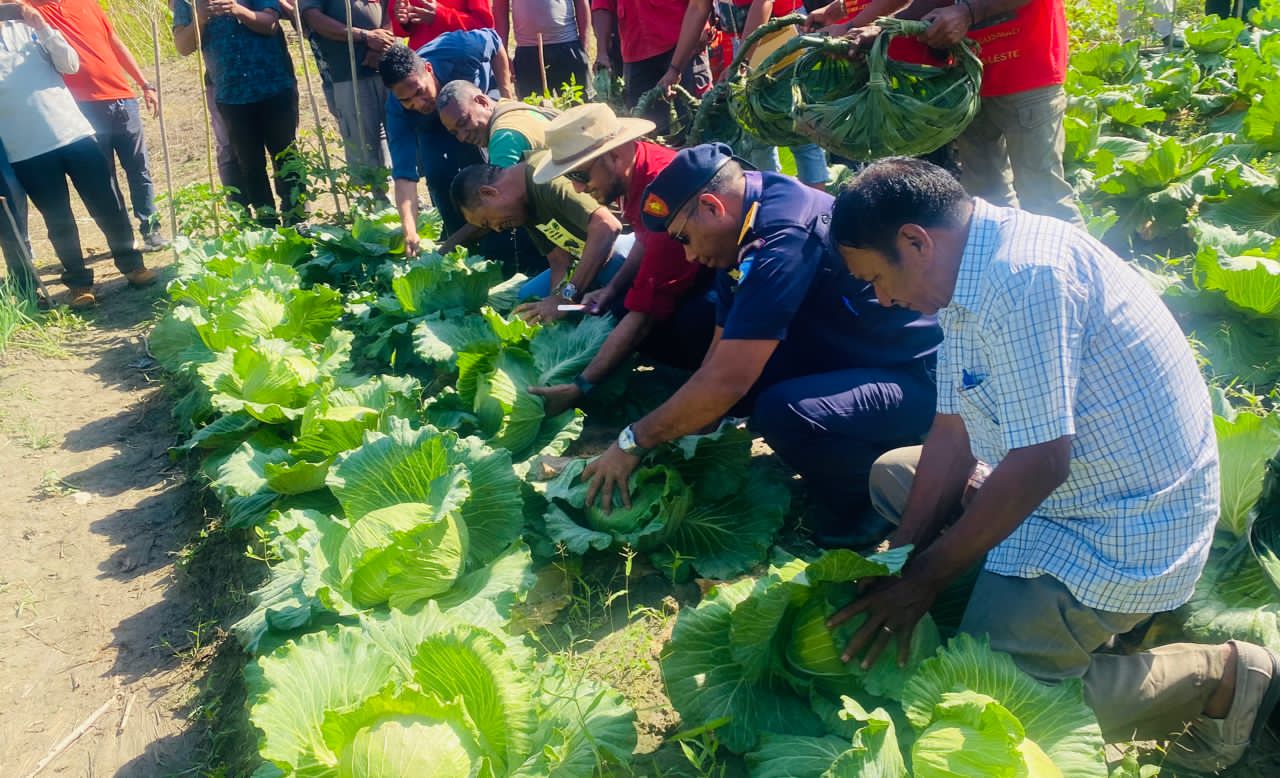 Sekretáriu Jerál MOKATIL Covalima husu tratór rua hodi fasilita atividade agrikultura