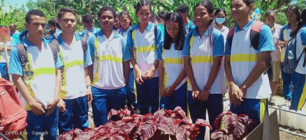 Estudante São Pedro aprezenta rezultadu peskiza no rekomenda atu konsumu bayam