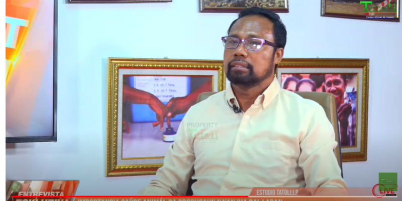 VÍDEO ATUÁL: Importánsia saúde animál ba produsaun na’an iha rai-laran