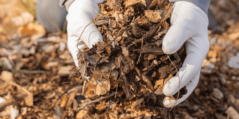 GHF Uaitame prátika oinsá prodús Adubu orgániku husi KHK