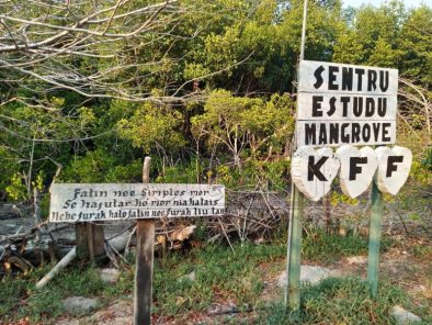 Hera5