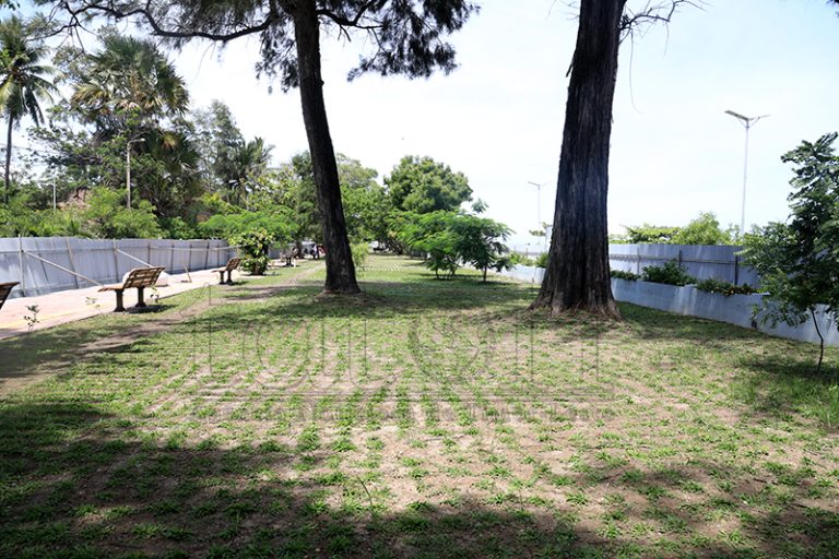 Jardin