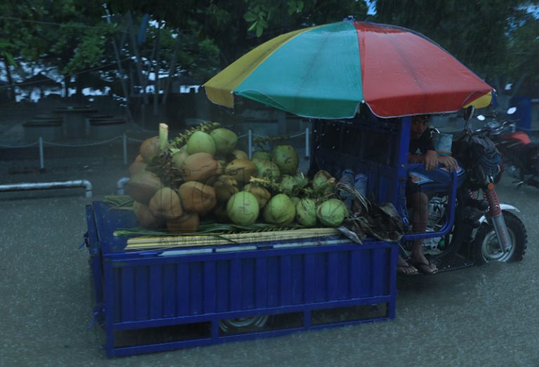 Faan Nu’u iha Udan Laran