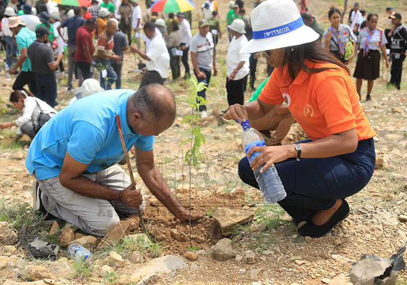 Selebra Loron Floresta : Governu mobiliza ona Ai-kameli 2.000 kuda iha foho Balak