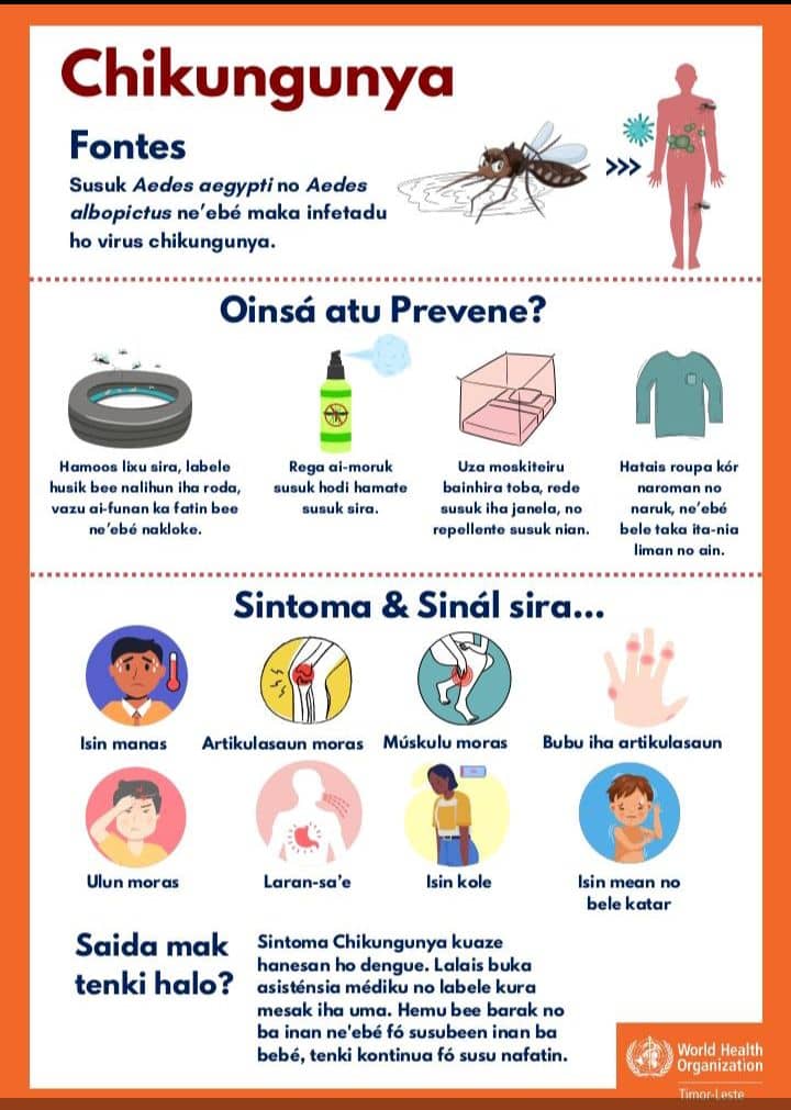 Deputada membru komisaun F husu MS halo prevensaun ba moras Chikungunya