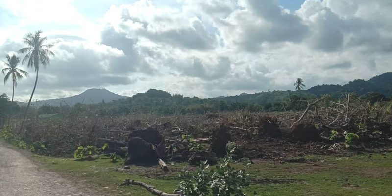 MAPPF destaka ekipamentu pezadu halo limpeza natar ektare 120 iha Uatulari