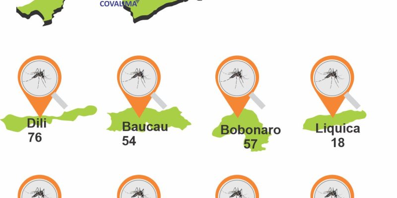 Infografia: Ministériu Saúde rejista kazu dengue iha territóriu nasionál hamutuk 227