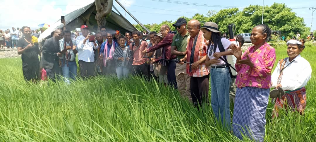 PA RAEOA lansa adubu orgánika hasa’e produsaun no hamate Lakataru