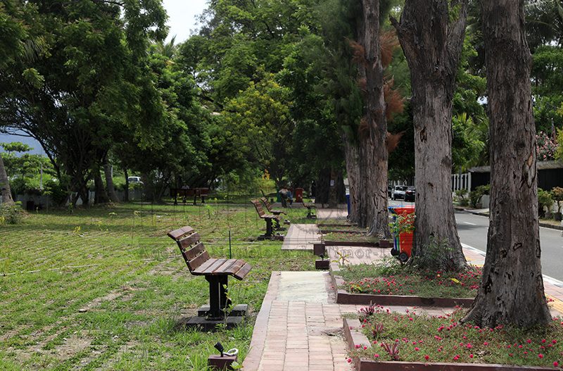 PAM Dili husu vizitante labele lori tama transporte ba jardín 