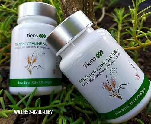 Empreza Costa Gibran 2 rejista aimoruk herbal Tianshi iha MS