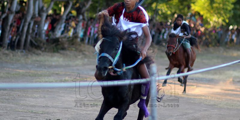 FOTO ATUÁL: Kompetisaun finál “Corrida cavalo” iha Oe-Cusse