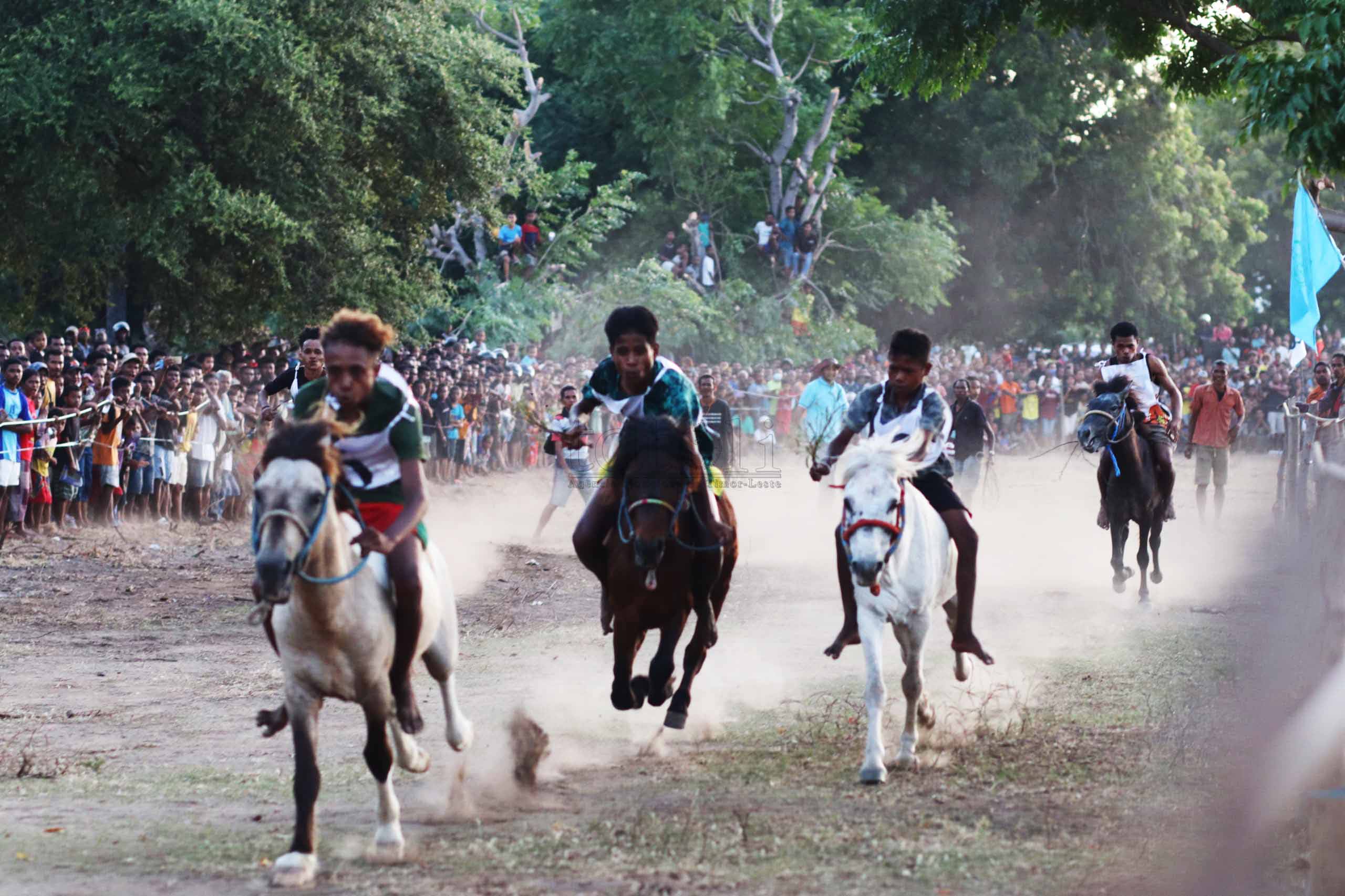 FOTO ATUÁL: Kompetisaun “Corrida cavalo” iha Oé-Cusse