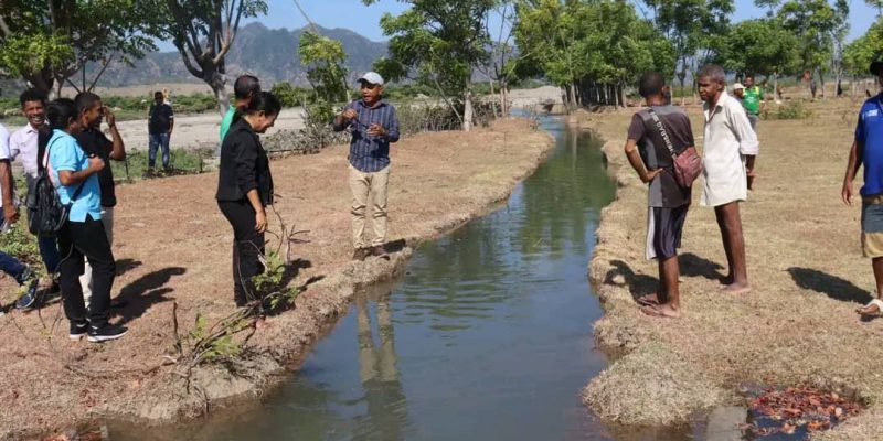 Autoridade solusiona bee ba natar ektare 40 iha Lifau