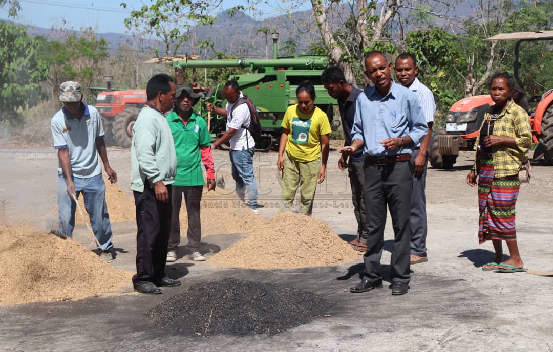 DSMA introdús tékniku habokur-rai ba agrikultór sira iha Holsa-Leolima