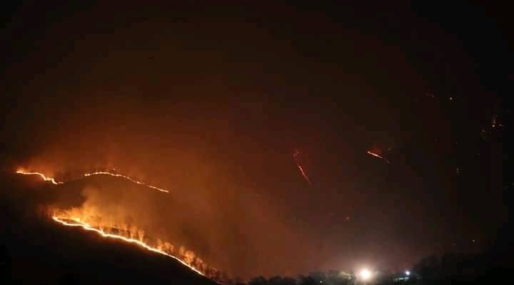 Autoridade Kovalima alerta ba komunidade labele sunu-rai arbiru