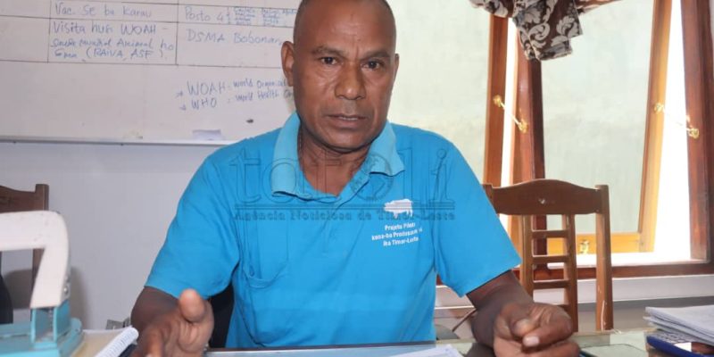 Maliana sai fatin risku ba transmisaun virus Raiva