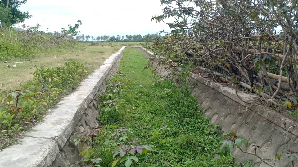 Irrigasaun Bebui Uatulari nakonu ho sedimentasaun afeta ba natar ektare 1.000
