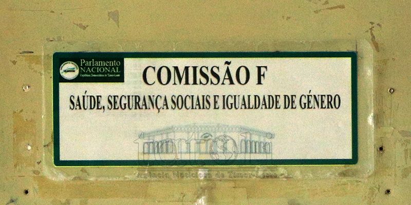 Komisaun F inisia diskusaun kona-ba ezbosu Lei Rejime Jurídiku ba Traballadór Doméstiku