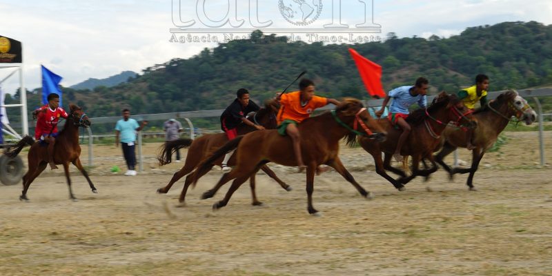 Autoridade RAEOA realiza kompetisaun “corrida cavalo” hodi festeza 20 Maiu