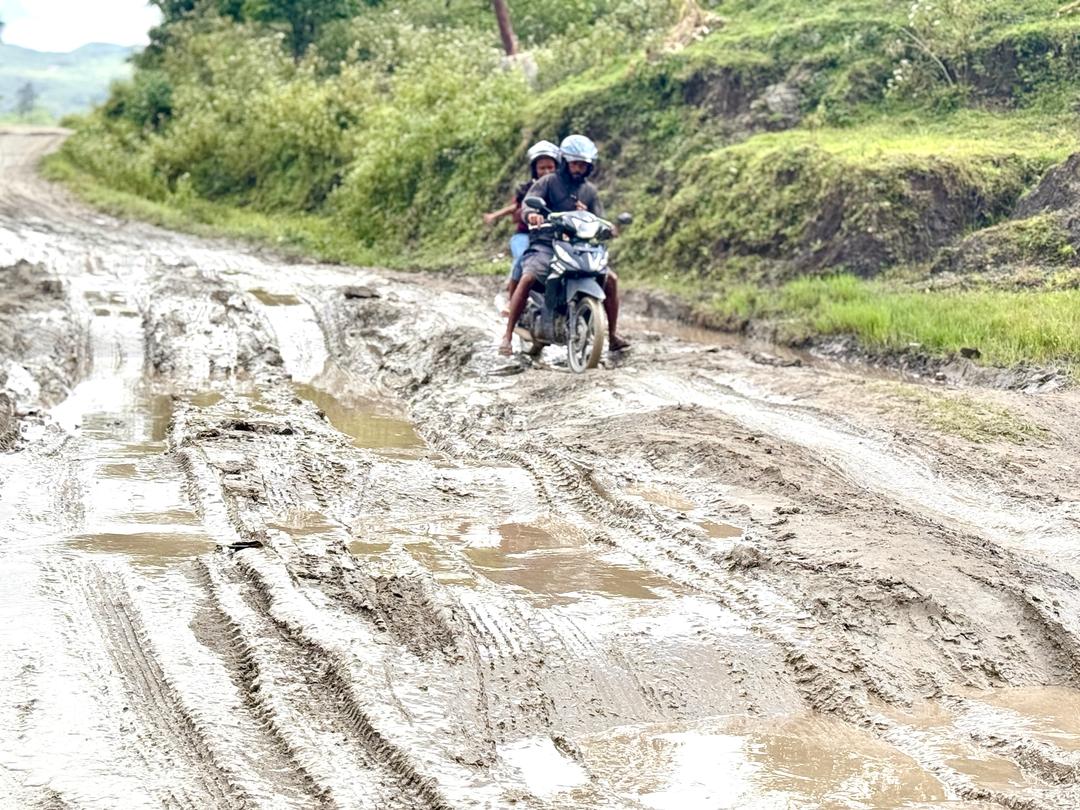 Komunidade husu MOP reabilita ponte-estrada rurál iha Bobonaru