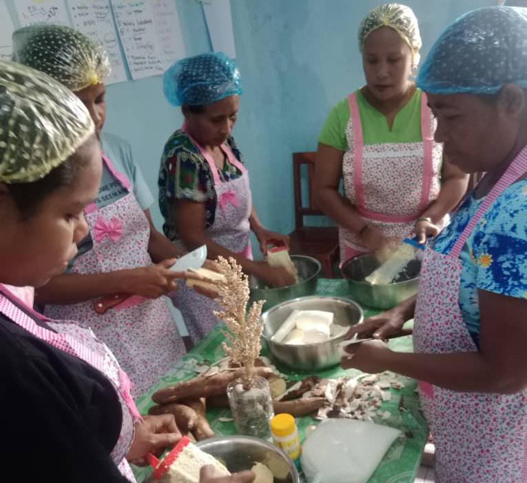 SEKoop oferese formasaun ba kooperativa neen iha Vikeke