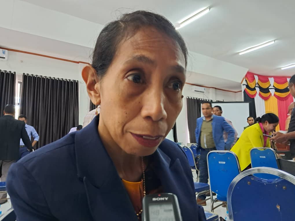 BTL kontinua garante bee-moos ba komunidade iha Baukau