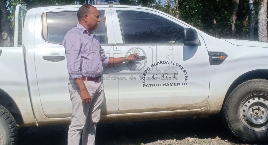 Floresta Vikeke menus transporte difikulta kontrolu ema tesi ai ilegál